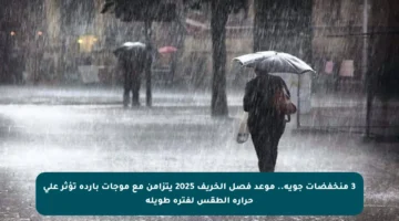 3 منخفضات جوية.. موعد فصل الخريف 2025 يتزامن مع موجات باردة تؤثر على حرارة الطقس لفترة طويلة